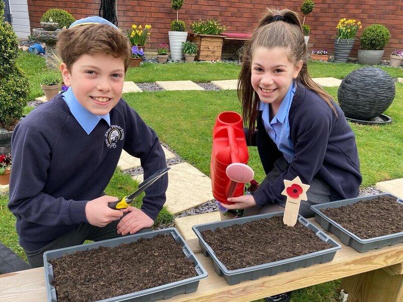 Image of Poppy planting in our Wellbeing Garden 